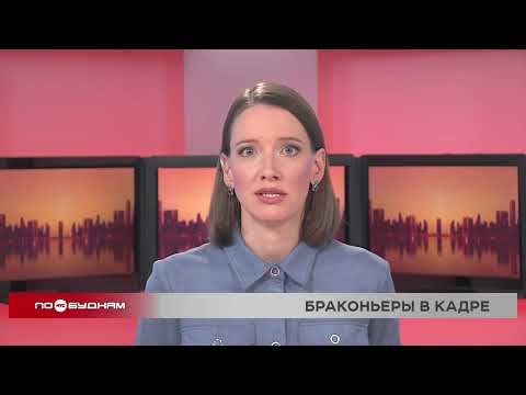 Видео: Новости ПО БУДНЯМ 11.11.2025