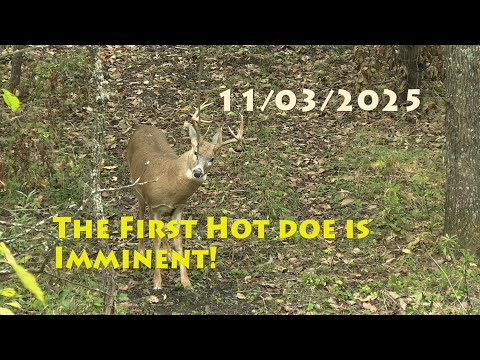 Видео: Гонка 2025 года неизбежна