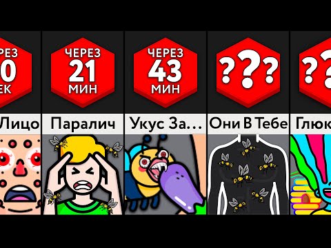 Видео: Если Пчёлы Нападут На Вас?