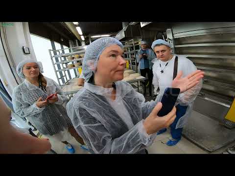 Видео: Как выпекается подовый хлеб на подовых печах MIWE. Заварной подовый без дрожжевой хлеб печем на поду