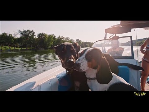 Видео: Hammers - Мы в Счастье Откроем Дверь (Modern Talking Cover)