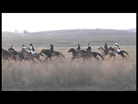 Видео: Конный переход из Республики Адыгея в КЧР