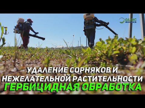 Видео: Удаление сорняков и нежелательной растительности, гербицидная обработка.