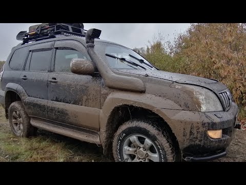 Видео: ПРАДО 120 СИБИРЬ БЕЗДОРОЖЬЕ ОСЕНЬ ДОРОГА НА РЫБАЛКУ