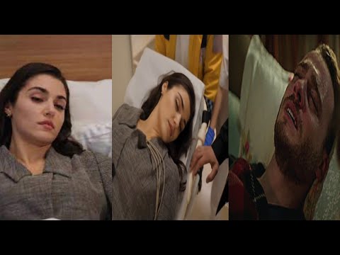 Видео: Вы видели, что сделал Керем, когда узнал, что его девушка Ханде попала в больницу?