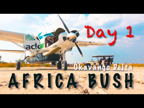 Видео: Африка. Полёты над Бушем. День 1. Пилот исследует дельту Окаванго в Ботсване на самолёте. День 1.