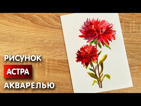 Видео: Как нарисовать астру карандашом и акварелью начинающим | Рисунок для детей