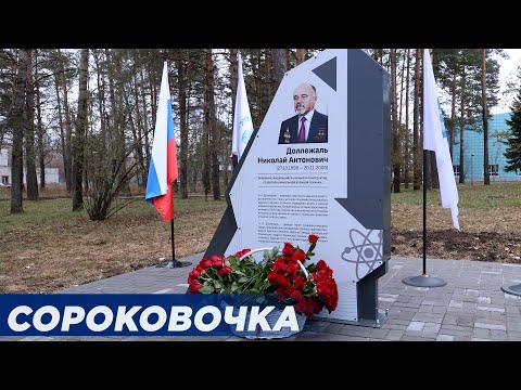 Видео: Сороковочка 29 октября 2025