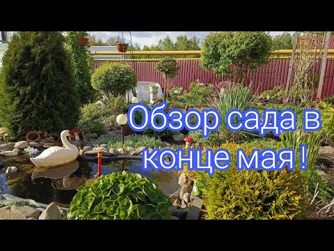 Видео: ОБЗОР САДА В КОНЦЕ МАЯ !