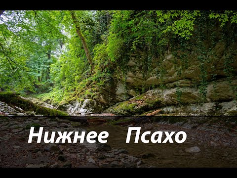 Видео: #73 Нижнее Псахо