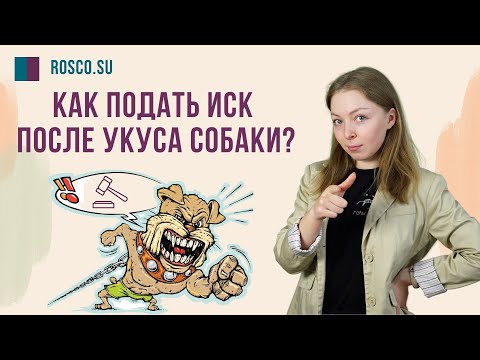 Видео: Как подать иск после укуса собаки?