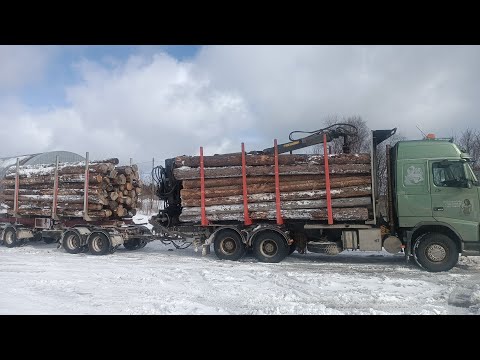 Видео: За срубом вторая ходка #volvo #дальнобой #moisei #зима