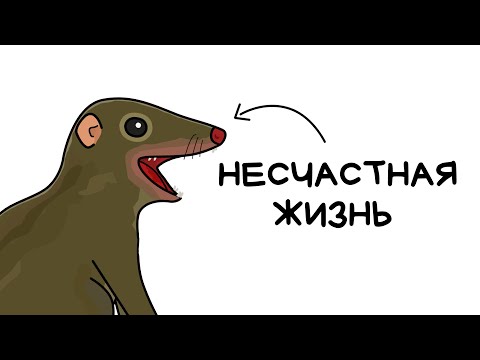 Видео: Ты - Тупайя (И ЭТО ПОЛНЫЙ ОТСТОЙ)