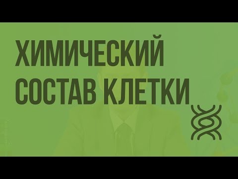 Видео: Биология 9 класс. Химический состав клетки