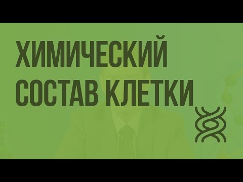 Видео: Химический состав клетки. Видеоурок по биологии 9 класс