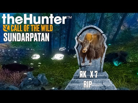 Видео: УРЕЗАЛ ПОПУЛЯЦИЮ ЯКОВ... А ОНИ И НЕ ПРОТИВ! ~TheHunter Call of the Wild "Sundarpatan Nepal"