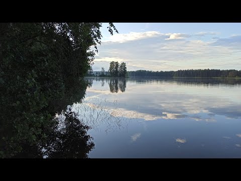 Видео: Путешествие на vw multivan. День 11. Путь домой. Итоги Путешествия.