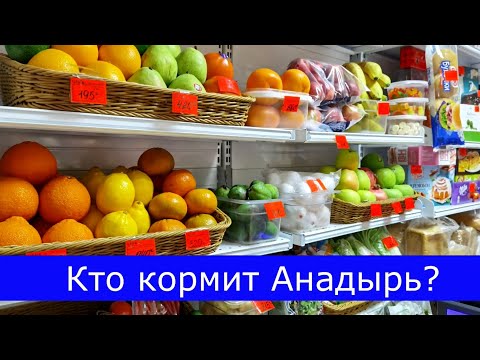 Видео: Кто кормит Анадырь?