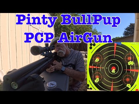 Видео: Пневматическая винтовка Pinty BullPup! Первый взгляд и тестовые выстрелы.