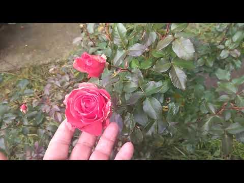 Видео: Закрыли сезон давно, а зима не торопится! 🤓