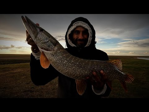 Видео: Самая крутая РЫБАЛКА на ЩУКУ