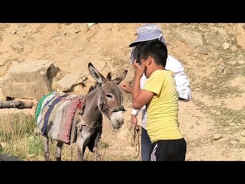 Видео: Тяжелая жизнь: еще один день кочевника