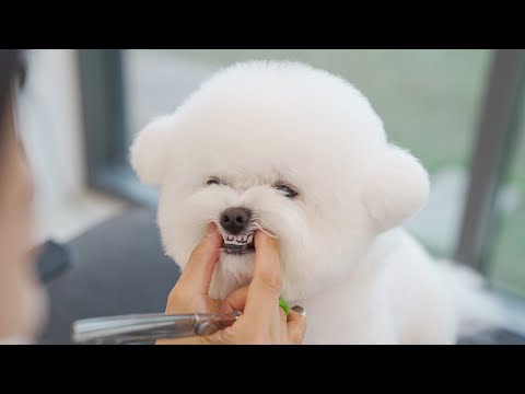 Видео: Ты не злишься?