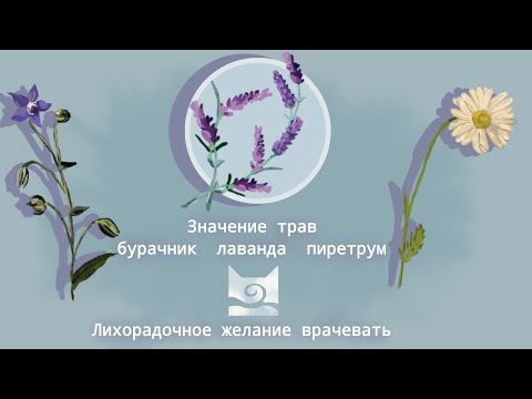 Видео: `Целебные травы, значение: лаванды, бурачника и пиретрума. Снято в Warrior cats : ultimate edition`