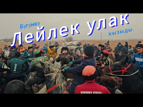 Видео: Лейлек улак/ Жиззахтан келген бир туугандар улак берди.