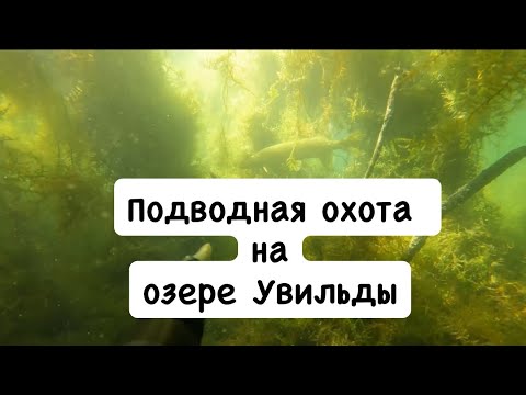 Видео: Подводная охота на озере Увильды 