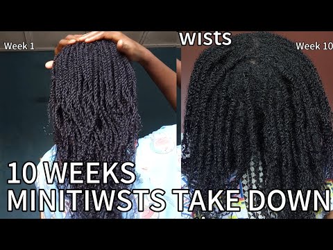 Видео: Как снять 10-недельные мини-твисты без каких-либо поломок