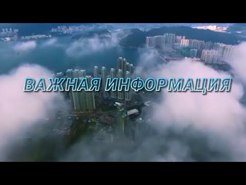 Видео: 4 ноября 2025 г.