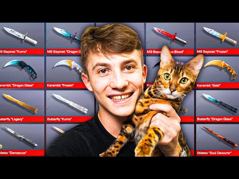 Видео: МОЙ КОТ ВЫБИЛ НОЖ В STANDOFF 2!