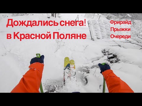 Видео: Красную поляну завалило снегом. Фрирайд, прыжки, очереди.
