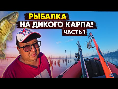 Видео: Два дня на озере. Костерок, готовлю на свежем воздухе, ночевка в палатке на берегу. Часть 1