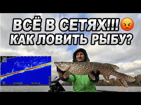 Видео: ВСЁ В СЕТЯХ!!! Как ловить рыбу?!
