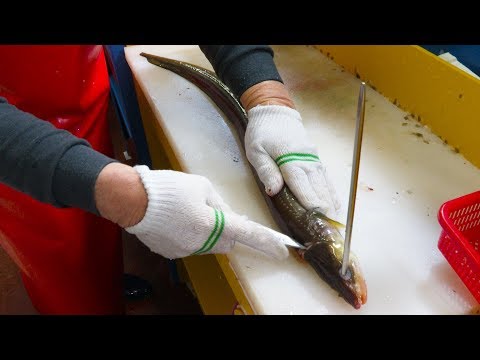 Видео: Рыбный рынок, Сеул, Корея / Угорь сашими, Ломтики живого угря,  Корейская уличная еда, 4K