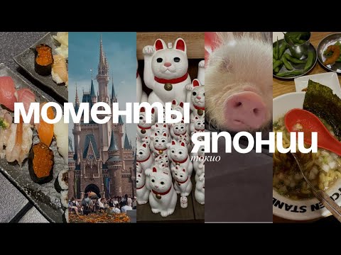 Видео: моменты японии: токио