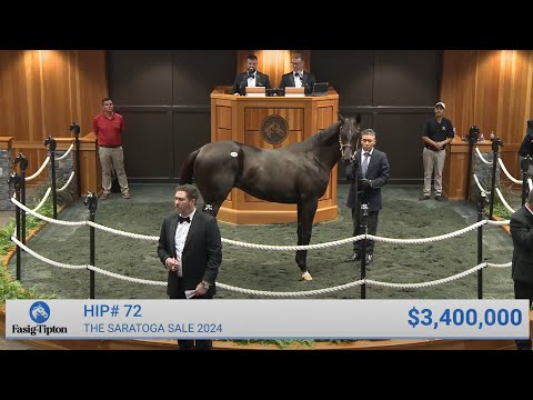 Видео: Не в этот раз жеребенок продан за 3 400 000 долларов на аукционе в Саратоге (2024)