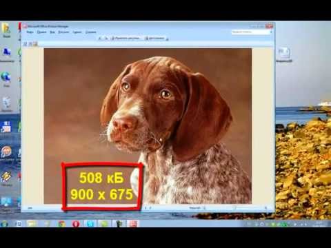 Видео: Нелишние советы по работе в программе  PAINT