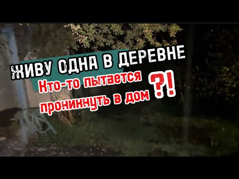 Видео: Переехала в деревню, сажаю томаты, преследую сусликов))