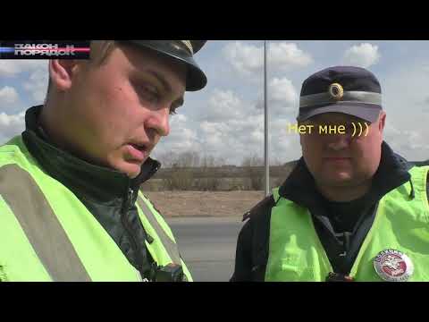 Видео: Кунгурские быки ОСТАНИНовили и наФУРИНили!!!