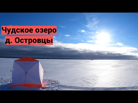 Видео: Чудское озеро. Островцы