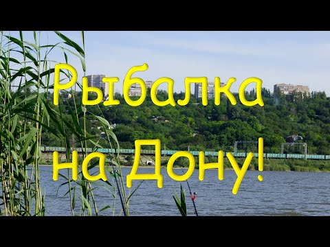 Видео: Рыбалка на реке Дон ! В черте города Ростова-на-Дону !