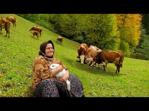 Видео: Эхо старой деревни: Жизнь из забытого времени | Документальный фильм