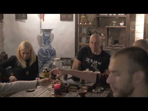 Видео: Шэн Пуэры. Чайные деревья с горы Булан шань, о диких пуэрах. Беседа с Аркадием в DAMO 30.11.19