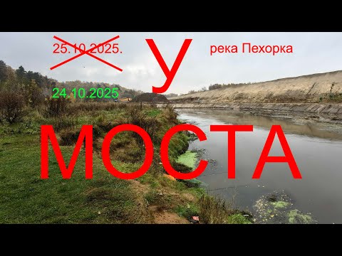 Видео: Трилогия "Пехорка".  У МОСТА. 24.10.2025. река Пехорка. п. Красково. Рыбалка в Подмосковье.