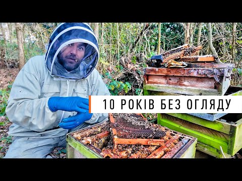 Видео: Цей вулик не відкривали 10 років... аж ДО СЬОГОДНІ! Що з розплодом?