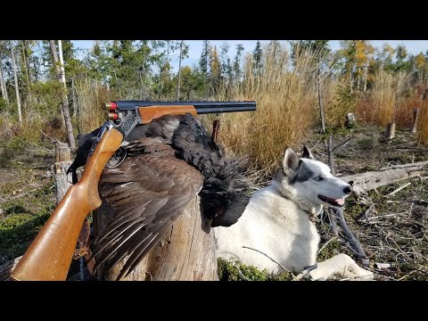 Видео: Как RобинзоN тайга хАди.