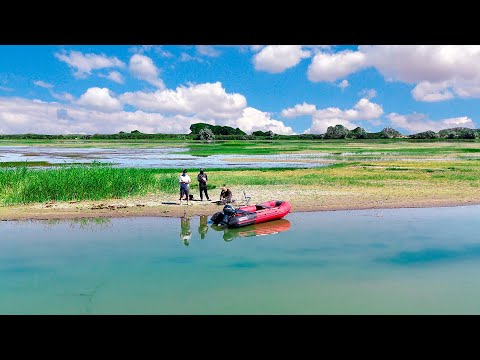 Видео: НА ЭТОМ ОСТРОВЕ ВОДЯТСЯ ТРОФЕИ !!! Рыбалка посреди реке ИЛИ, июнь 2025, часть 2